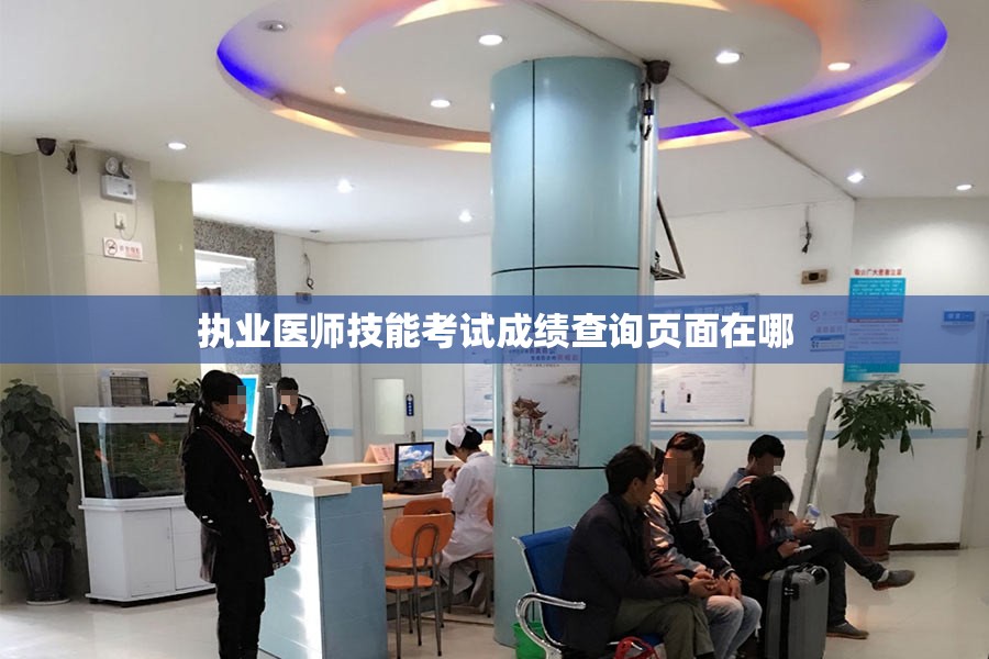 执业医师技能考试成绩查询页面在哪