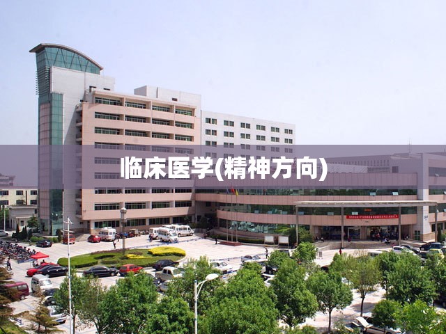 临床医学(精神方向)