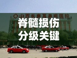 脊髓损伤分级关键肌