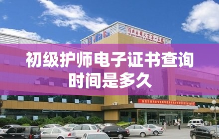 初级护师电子证书查询时间是多久